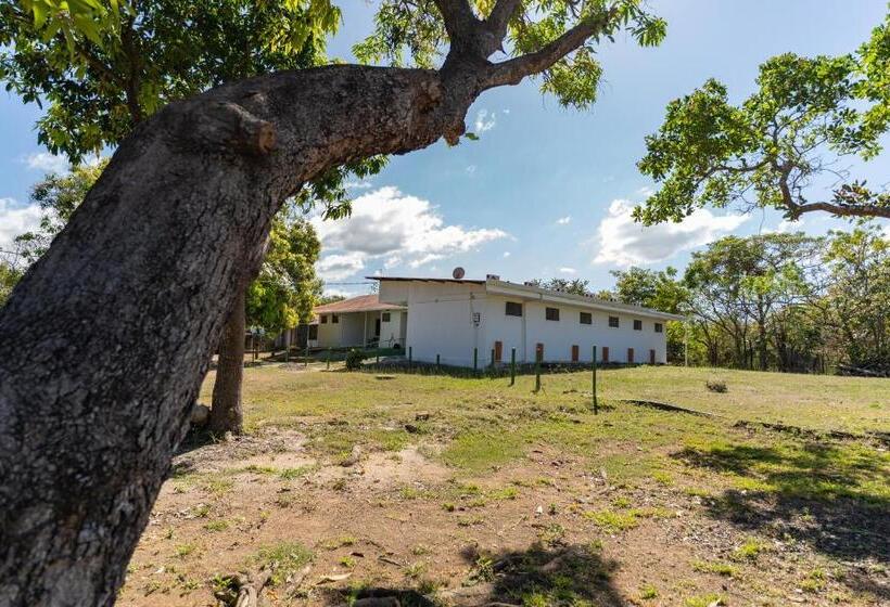 El Cocobolo Food&rest Room 1 Bed And Breakfast Wifi Ac Pkg Gratis