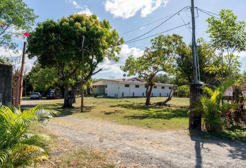 El Cocobolo Food&rest Room 1 Bed And Breakfast Wifi Ac Pkg Gratis