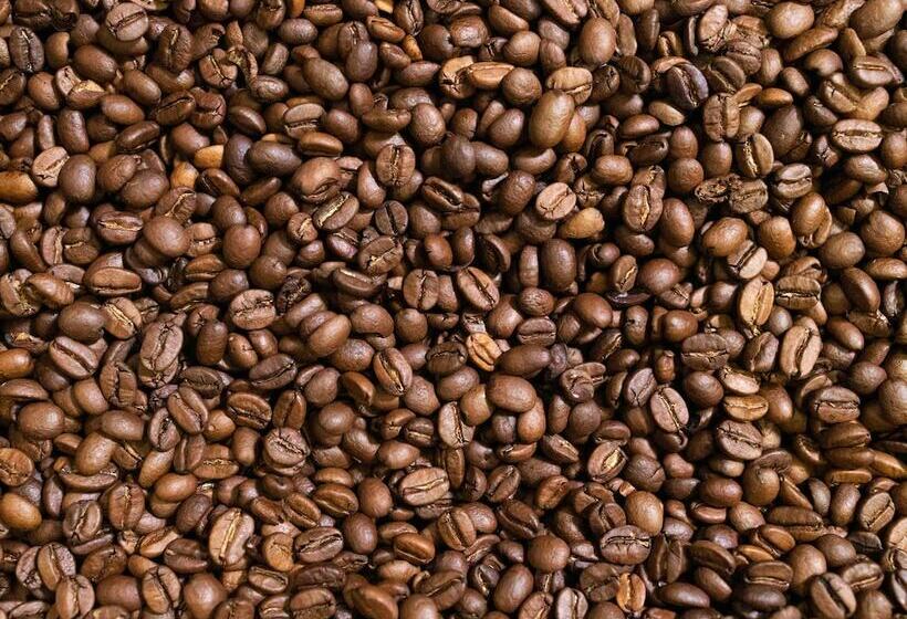 Greet Hotel Castets Coeur Des Landes