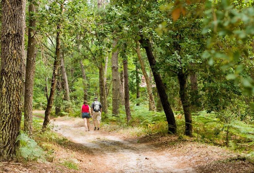 Greet Hotel Castets Coeur Des Landes