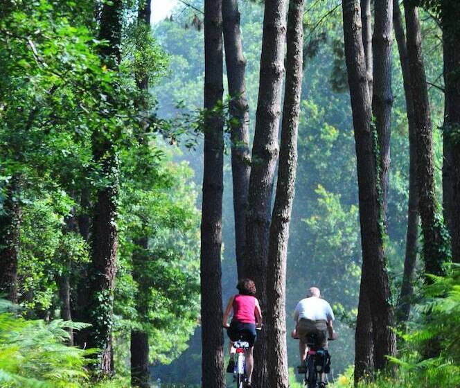 Greet Hotel Castets Coeur Des Landes