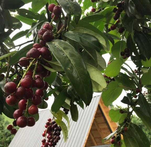 فندق My World Bungalov