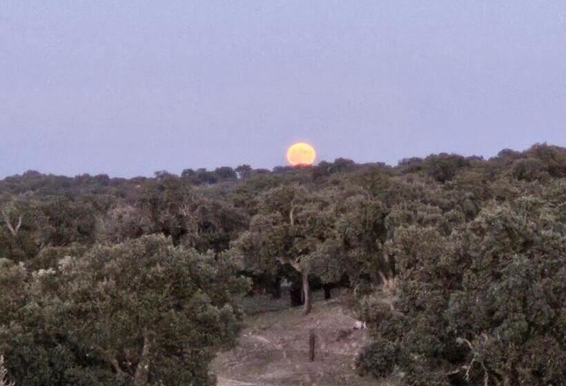 هتل Rural Portilla De Monfragüe