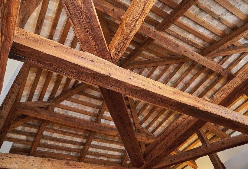 בית מלון כפרי Villa Martin