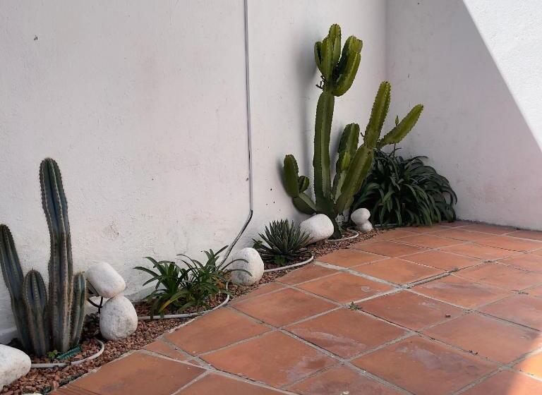 پانسیون Terra Aloé