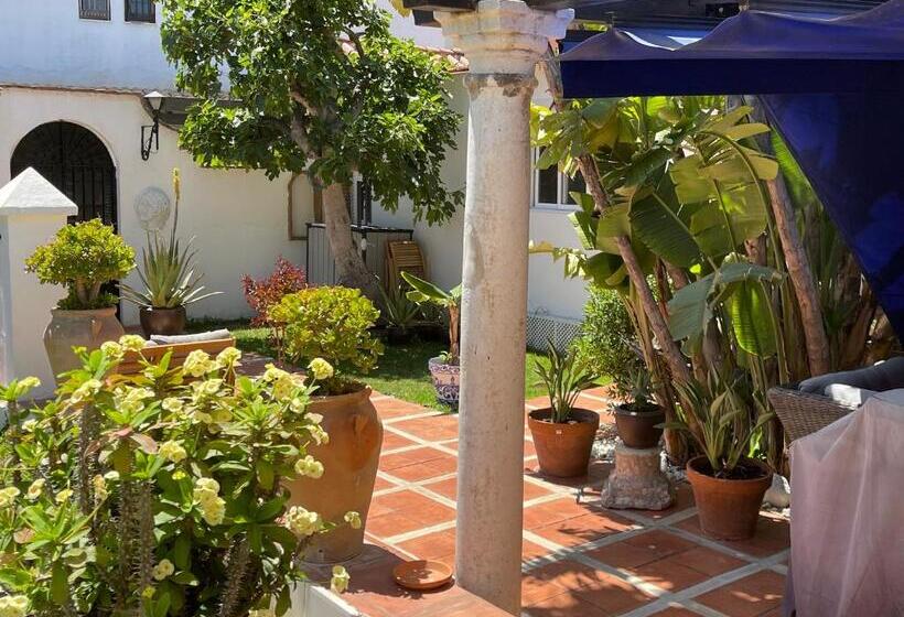 پانسیون Terra Aloé