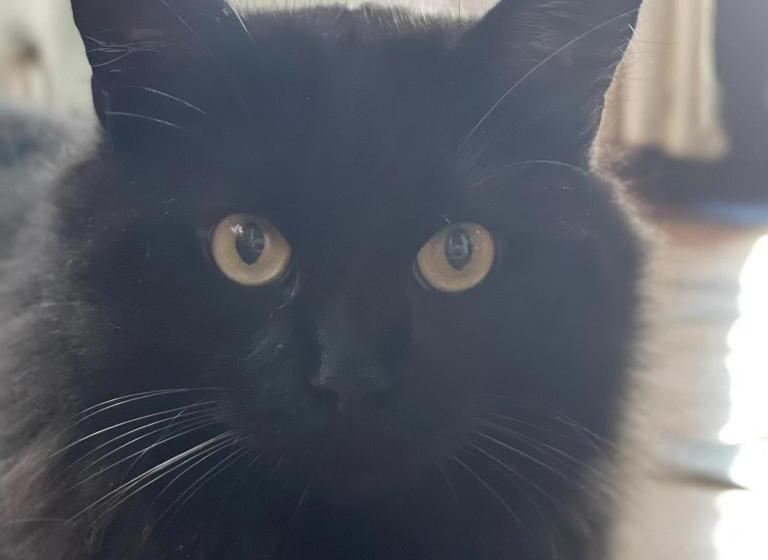 پانسیون Terra Aloé