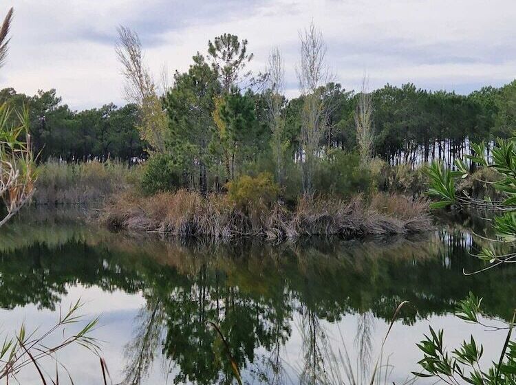 פנסיון Ufitness Retreat Guesthouse