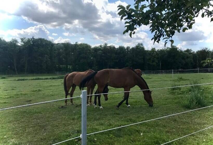 Apart Pension Zelený Grunt