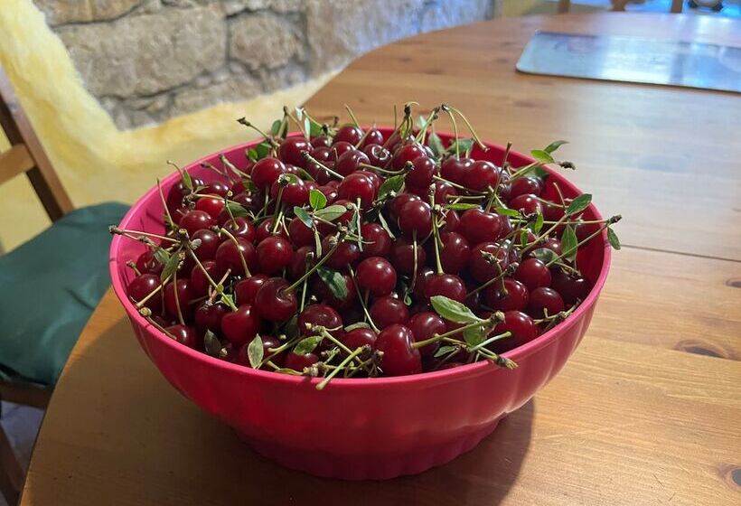 Apart Pension Zelený Grunt