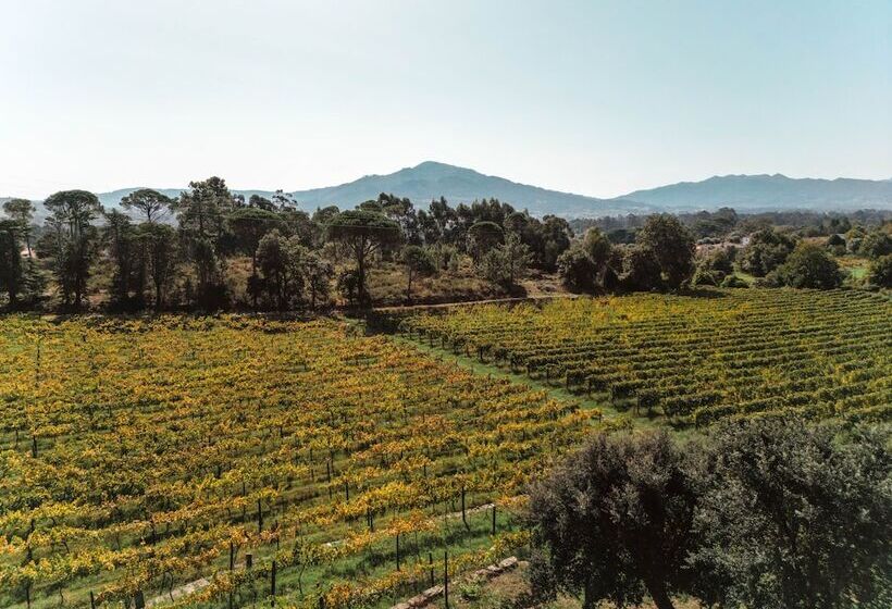 Bed and Breakfast Quinta Do Convento De Val´ Pereiras