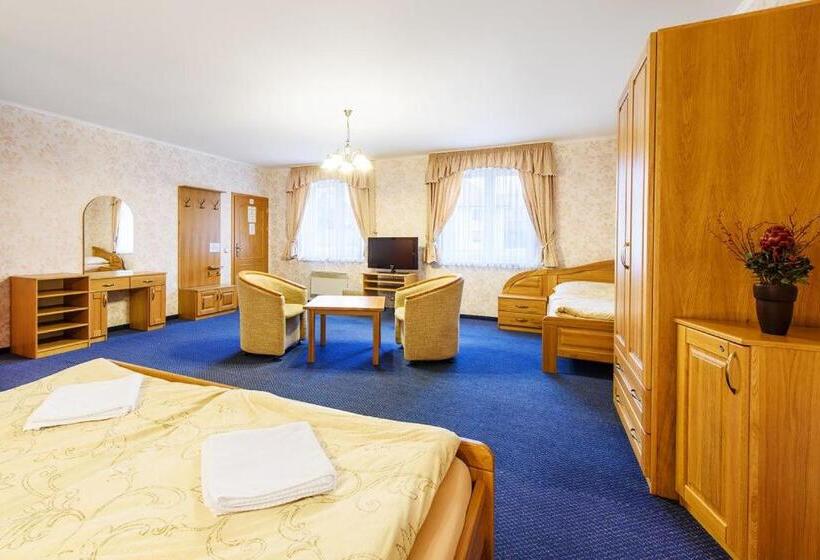 호텔 Lions Nesuchyně