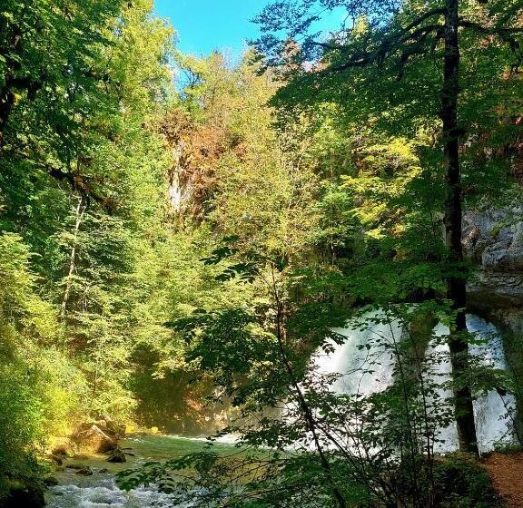 بنسيون Haut Jura