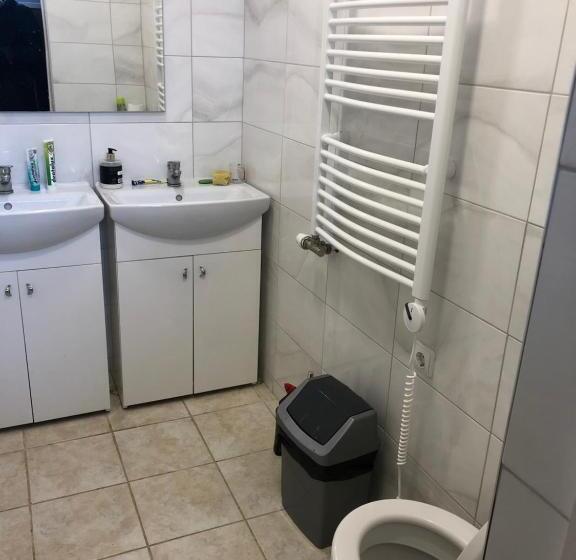 پانسیون Kambariu Nuoma Surviliskyje