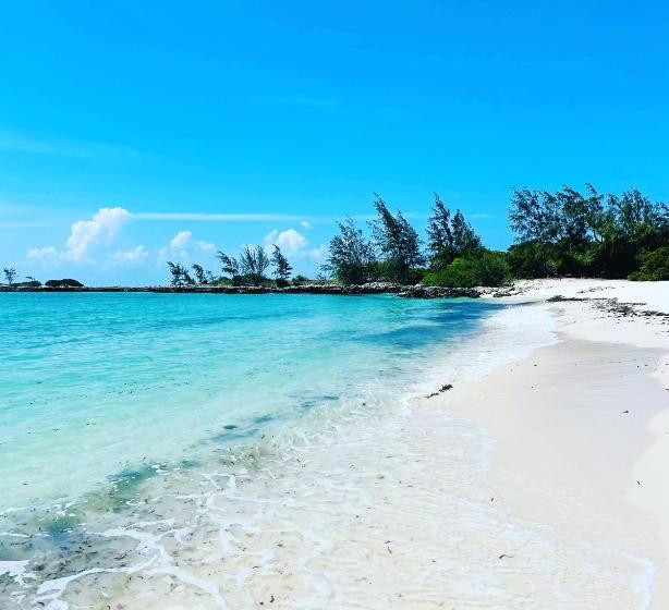 리조트 Mangal Beach Lodge