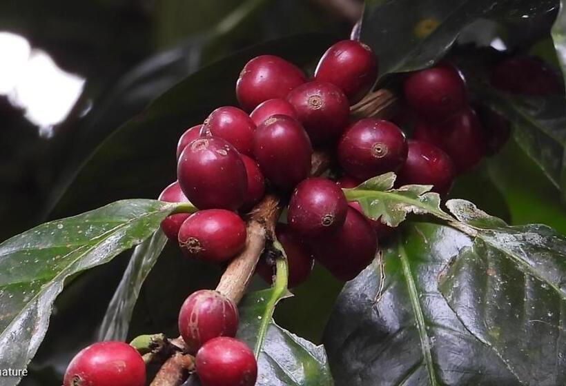 צימר Eco Lodge Villa Laura