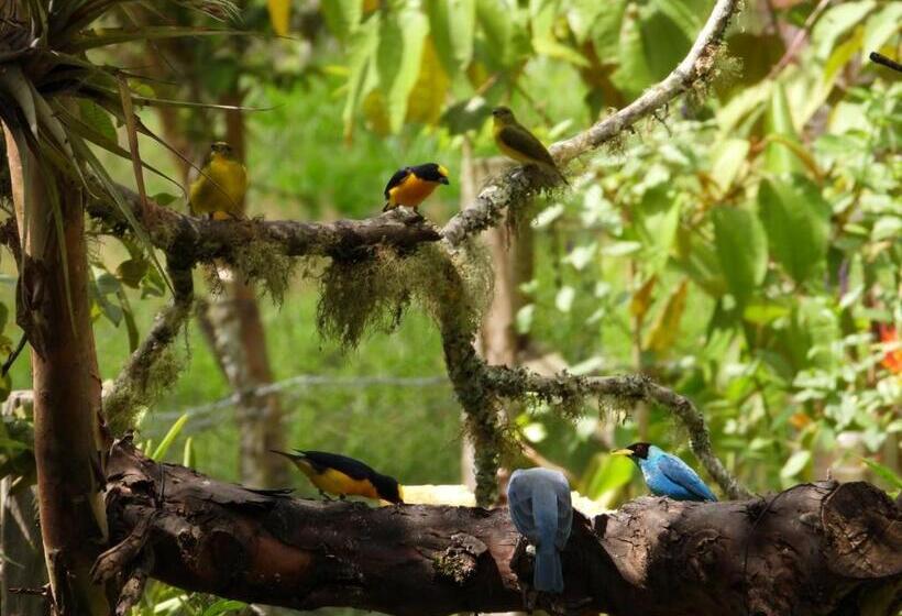 צימר Eco Lodge Villa Laura