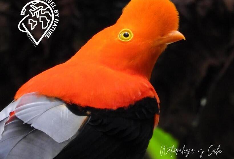 צימר Eco Lodge Villa Laura