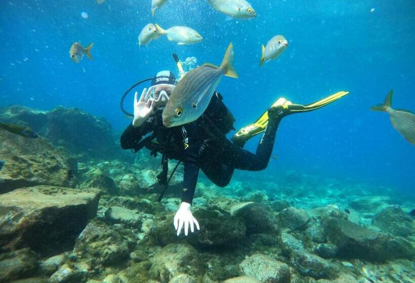 住宿加早餐  Endless Summer Vibes