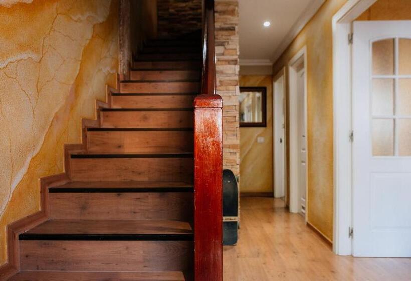 住宿加早餐  Endless Summer Vibes