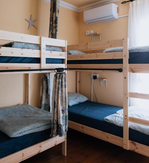 住宿加早餐  Endless Summer Vibes