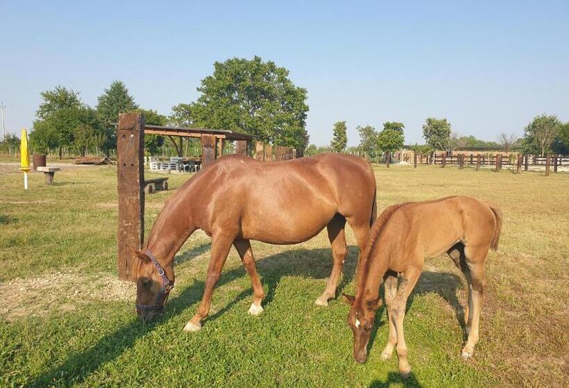 مبيت وإفطار Ranch Borgo Bella Vita