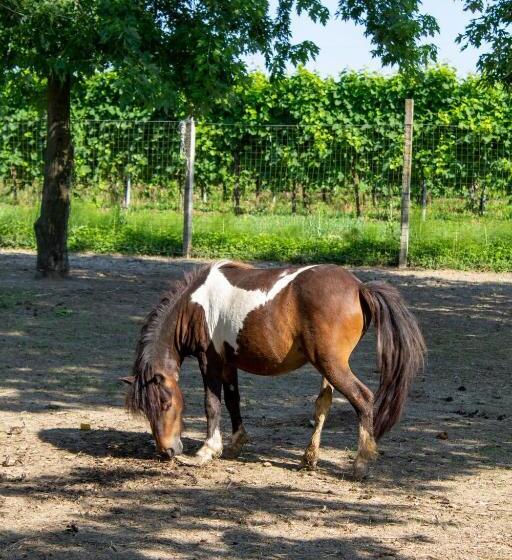 مبيت وإفطار Ranch Borgo Bella Vita