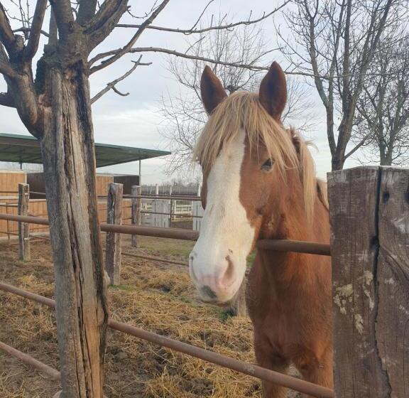 민박 Ranch Borgo Bella Vita