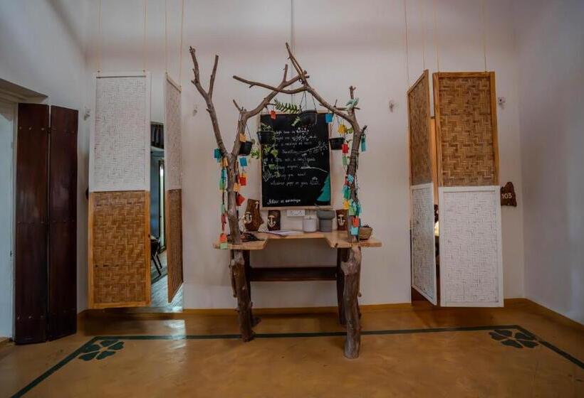 בית מלון כפרי Circle