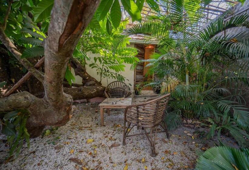 בית מלון כפרי Circle