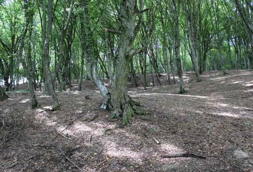 ホテル Pensiune Agroturistica La Recea