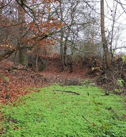 ホテル Pensiune Agroturistica La Recea