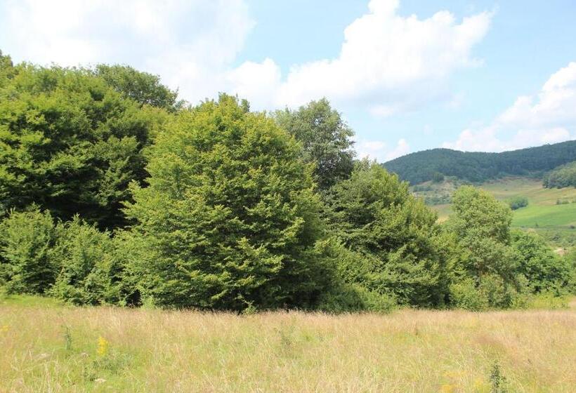 ホテル Pensiune Agroturistica La Recea