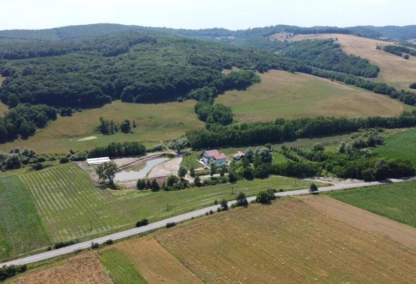 ホテル Pensiune Agroturistica La Recea