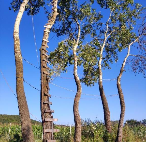 ホテル Pensiune Agroturistica La Recea