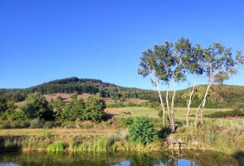 ホテル Pensiune Agroturistica La Recea