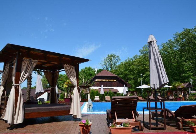 Отель Pensiunea Popasul Codrenilor