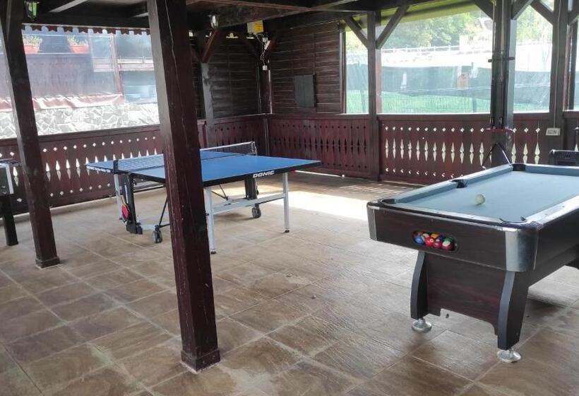 Отель Pensiunea Popasul Codrenilor