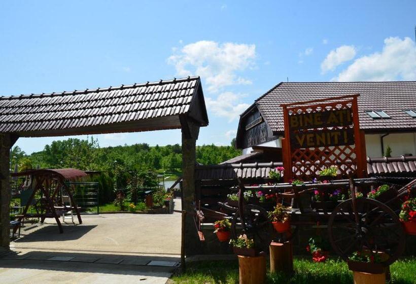 Отель Pensiunea Popasul Codrenilor