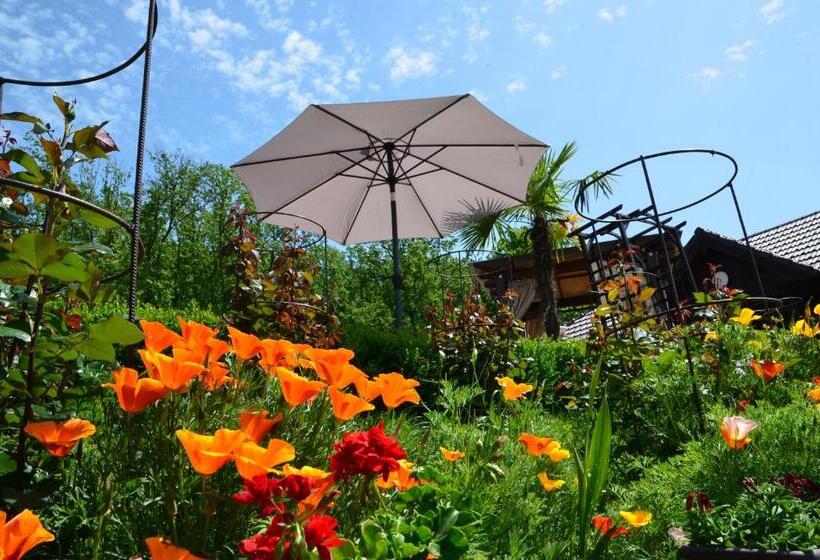 Отель Pensiunea Popasul Codrenilor