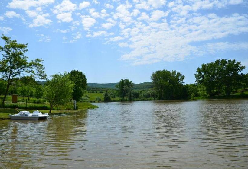 Отель Pensiunea Popasul Codrenilor