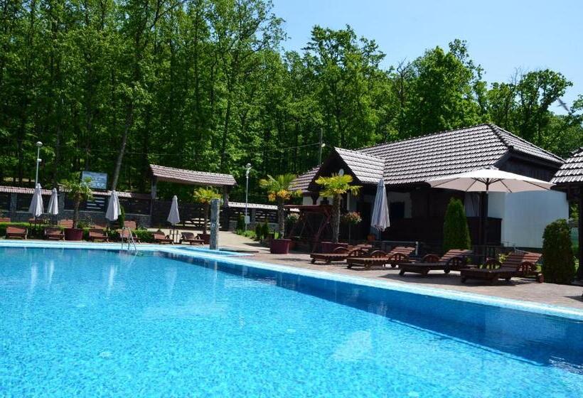 Отель Pensiunea Popasul Codrenilor