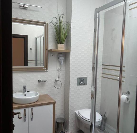 ペンション Casa Cu Flori Maramures