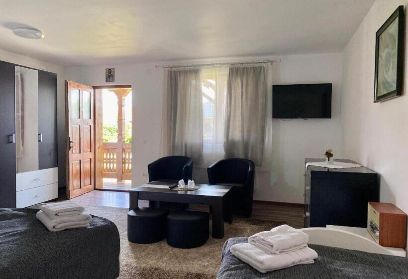 פנסיון Casa Vasu