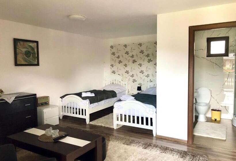 פנסיון Casa Vasu