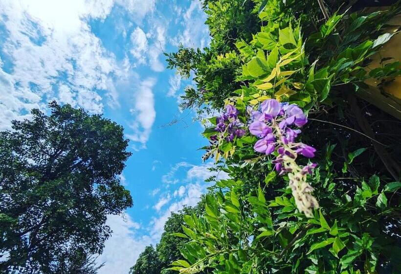 Пансион Zámeček Ostrov