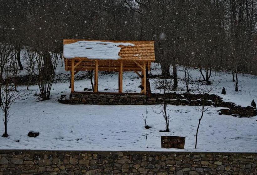 펜션 Cabana Codrii Maramuresului