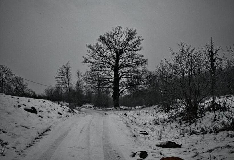 펜션 Cabana Codrii Maramuresului