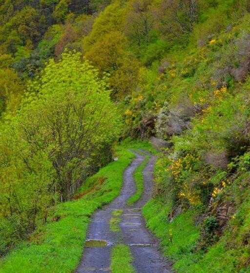 Albergue Cascoxu