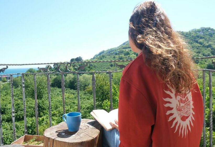 הוסטל Mellow Turkey